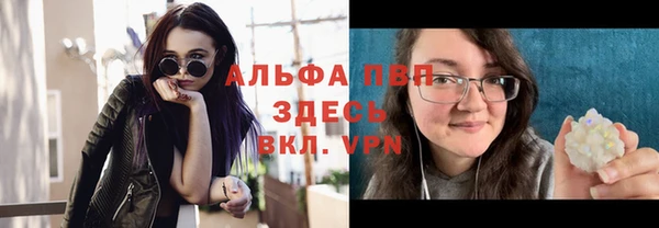 стафф Инта